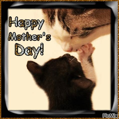 Kitten Kissing Cat - Happy Mother's Day Pictures, Photos, and Images ...