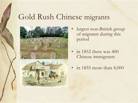 Gold Rush Australia Chinese Miners