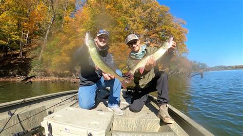 Upper Chesapeake Bay Fishing Report, November 2022 | FishTalk Magazine