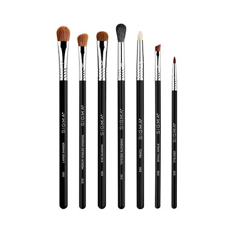 Amazon.com: Sigma Beauty Basic Eye Makeup Brush Set – Classic Eye ...