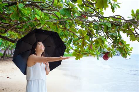 What To Do on Rainy Days in Hawaii | Hawaiian Planner