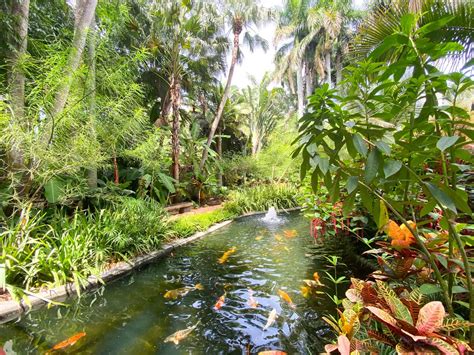 Tips For Visiting The St. Pete Sunken Gardens - Florida Trippers