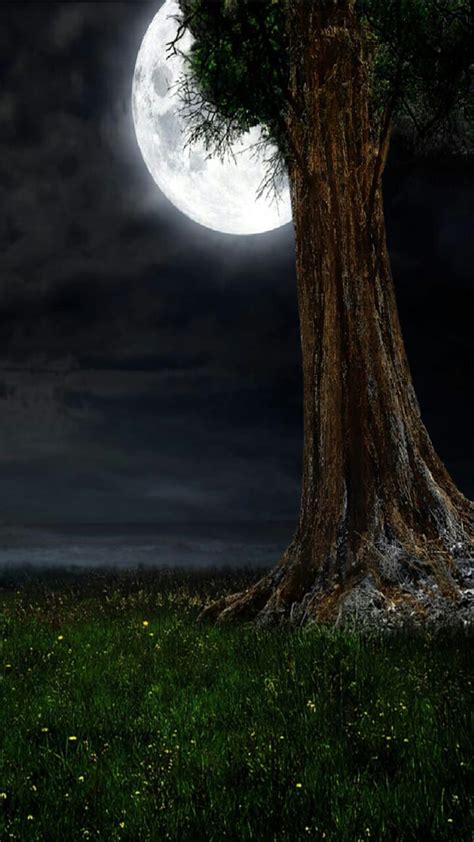 Night, moon, tree, HD phone wallpaper | Peakpx