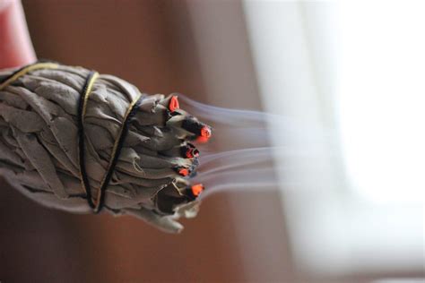 Powerful Reasons for Burning Sage & How to Do It