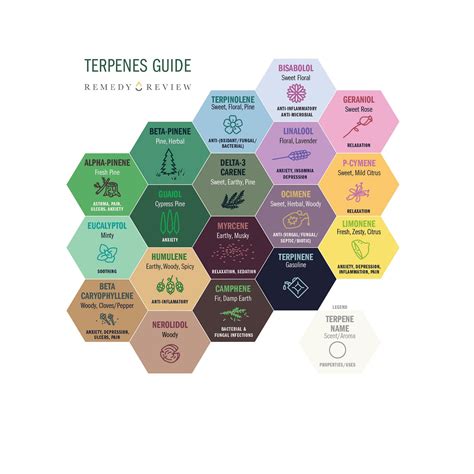 Terpenes Cannabis