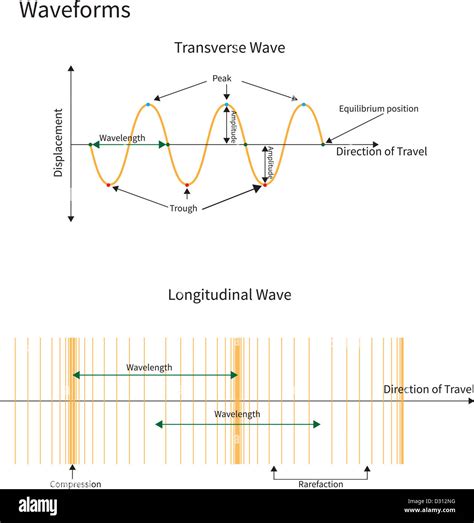 Max ValueLongitudinal wave, Physics, Sound & Wave Motion, the vibrations of a longitudinal wave move