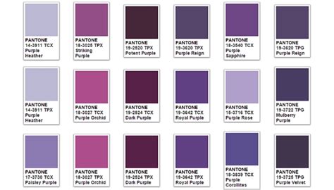 Purple Color Meaning & Symbolism | The Color Purple