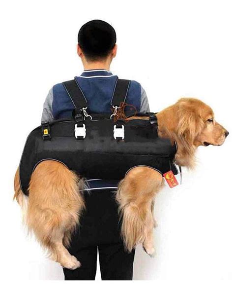 9 Practical Dog Carrier Backpacks for Pups Over 25 lbs - Hey, Djangles. | Dog backpack carrier ...