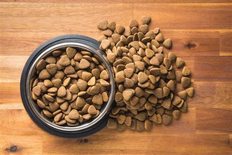 Understanding German Shepherd Food Allergies: Symptoms, Causes, and Solutions - Shepherd Sense