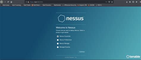 How to use nessus professional - ksecreative