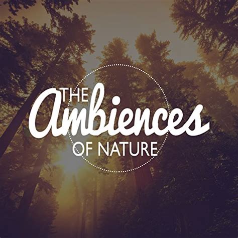 The Ambiences of Nature by Ambiance Nature on Amazon Music - Amazon.co.uk