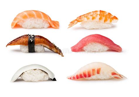 Sushi - Ebi Nigiri stock photo. Image of studio, cuisine - 24143072