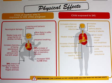 Chelsea Nash George: EFFECTS OF SECOND HAND SMOKE ON CHILDREN (info ...