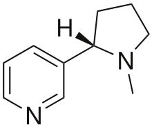 nicotine - Wiktionary, the free dictionary