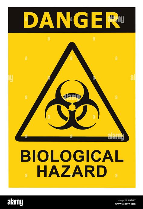 Biohazard symbol sign of biological threat alert, black yellow triangle ...