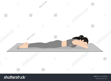 Crocodile Pose, Makarasana,. Beautiful girl - Royalty Free Stock Vector ...