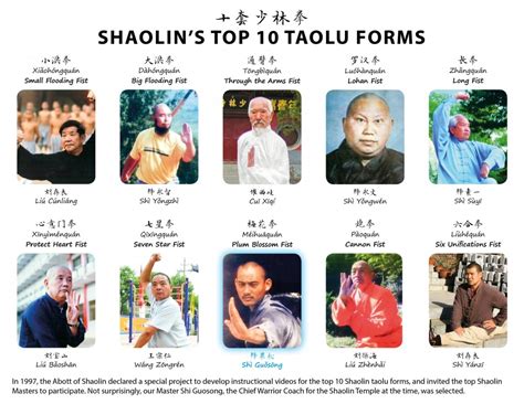 The Top 10 Shaolin Taolu Forms