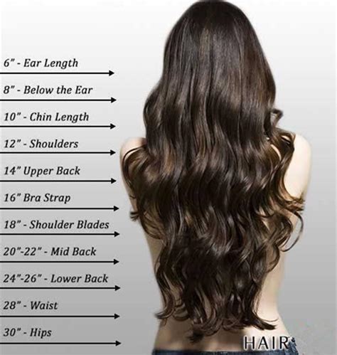 Hair Length Chart: Check Out the Every Single Hair Cut Length ...