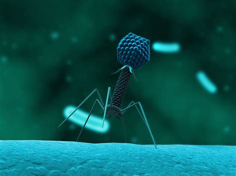 “December 25, 1982: The DNA Sequence of Bacteriophage λ Has Been ...