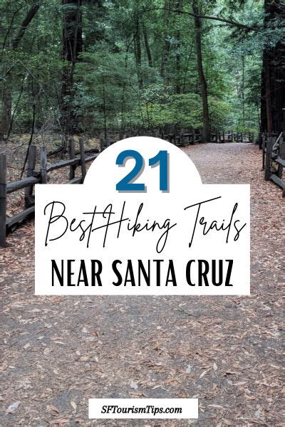 21 Awesome Santa Cruz Hiking Trails for Outdoor Lovers