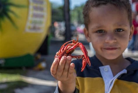 25 Spring & Crawfish Festivals for Houston Families | Mommy Poppins ...