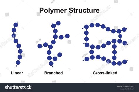 Scientific Designing Polymer Structure Classification Polymer: เวกเตอร์ ...