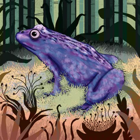 Zoo: Faery Frogs #folklore #AtoZChallenge – Ronel the Mythmaker Folk Tales, Fairy Tales, Grimm ...