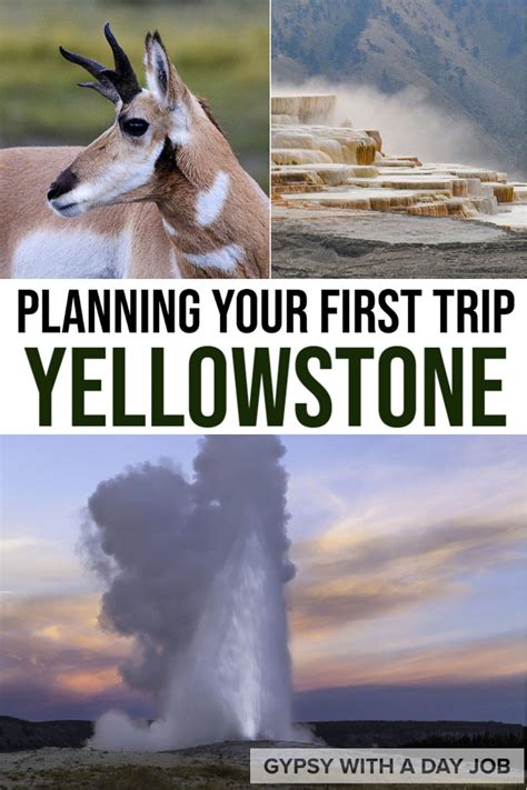 Yellowstone trip planner planning a yellowstone itinerary – Artofit