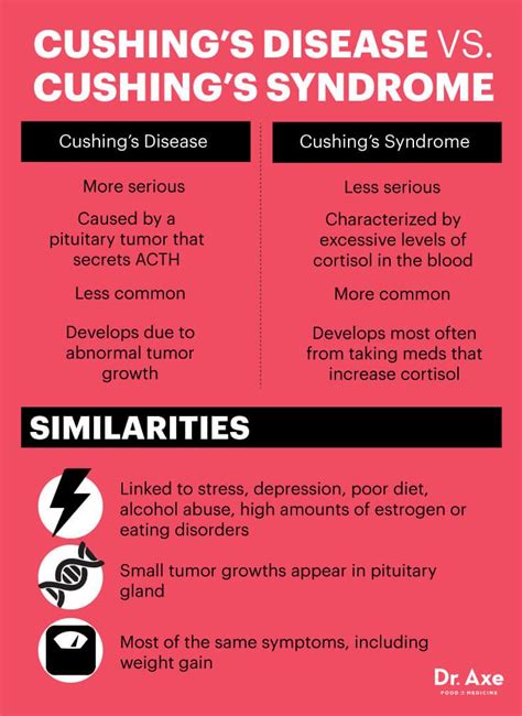 Pin on Dr. Axe Articles/Healthy Living