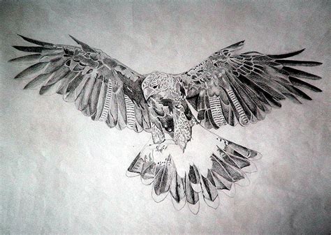 Hawk Drawing by Robert Lance