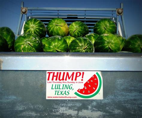 Watermelon Thump, Luling TX, June 23rd through 26th 2016 – Left at the Fork