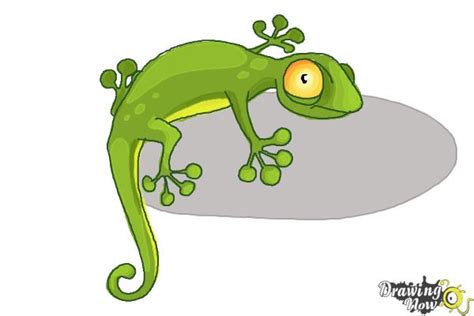 How to Draw a Cartoon Lizard - DrawingNow