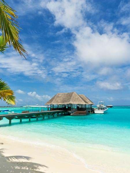 Holiday Types in Maldives | TransIndus