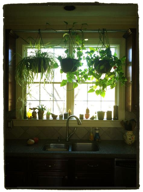 Hang plants in your kitchen window without putting any holes in drywall: 1) Place wood blocks ...