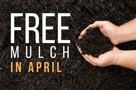 Free Mulch