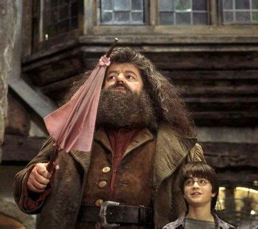 harry potter - How did Hagrid's wand find him? - Science Fiction & Fantasy Stack Exchange