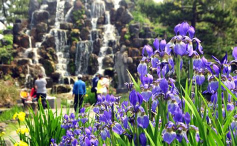 Hallim Park Jeju Ticket - Trazy, Korea's #1 Travel Guide