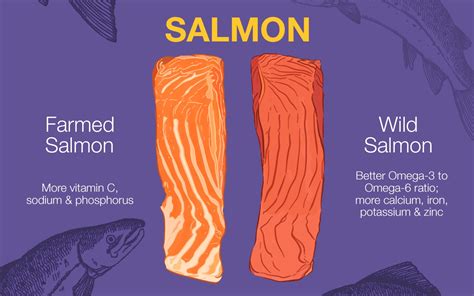 The good life - Wild Salmon vs Farmed Salmon: Which one is better?