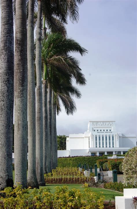 Laugh it up!: Laie Hawaii Temple