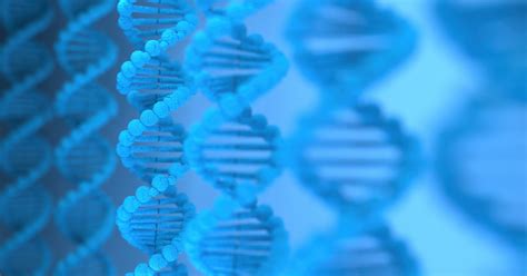 Update of SNPs and gene names list according to ENSEMBL - BioCertica