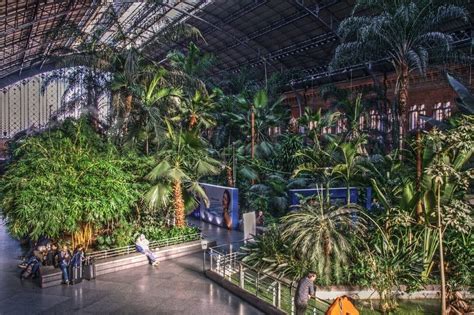 Botanical Garden Inside Atocha Train Station, Madrid | Amusing Planet