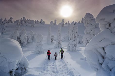 Lapland in Winter - Most Wonderful Season | Visit Finnish Lapland