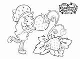Strawberry Shortcake coloring Pages  ColoringLib sketch template