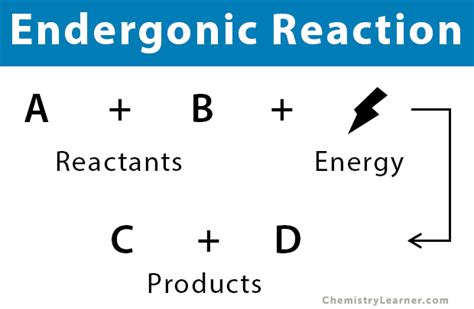 Examples Of Endergonic And Exergonic Reaction