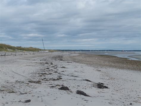 South Shore Bird Club of MA: Plymouth Beach - 9/14/2013