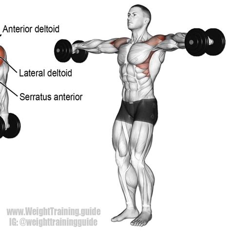 Front & Lateral Shoulder Raises by Noel Fernandes - Exercise How-to ...