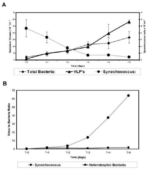 (A) Exposure of Synechococcus isolate N to continuous high light. Note... | Download Scientific ...