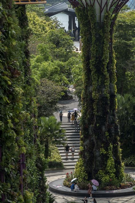 Gardens by the Bay, Supertrees - Greenroofs.com