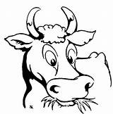Cow Face Coloring Page » Turkau sketch template