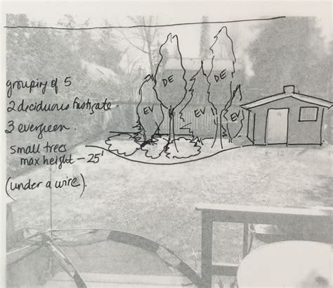 Take photo, print, use under tracing paper to draw in designs for landscaping Landscape Design ...